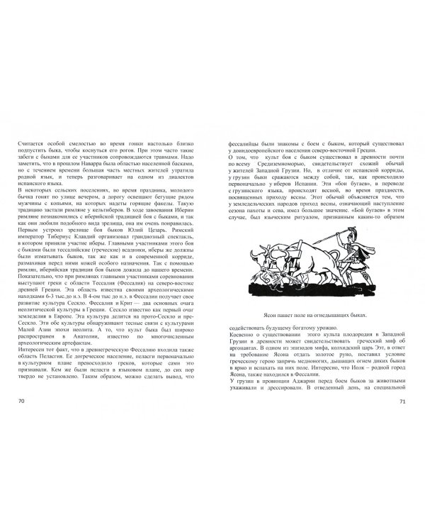 Британия до бриттов. Загадка пиктов