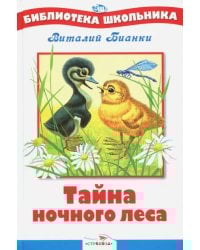 Тайна ночного леса