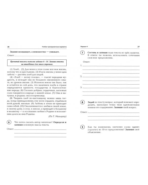 Русский язык 4 класс. Всероссийская проверочная работа. Тетрадь 2