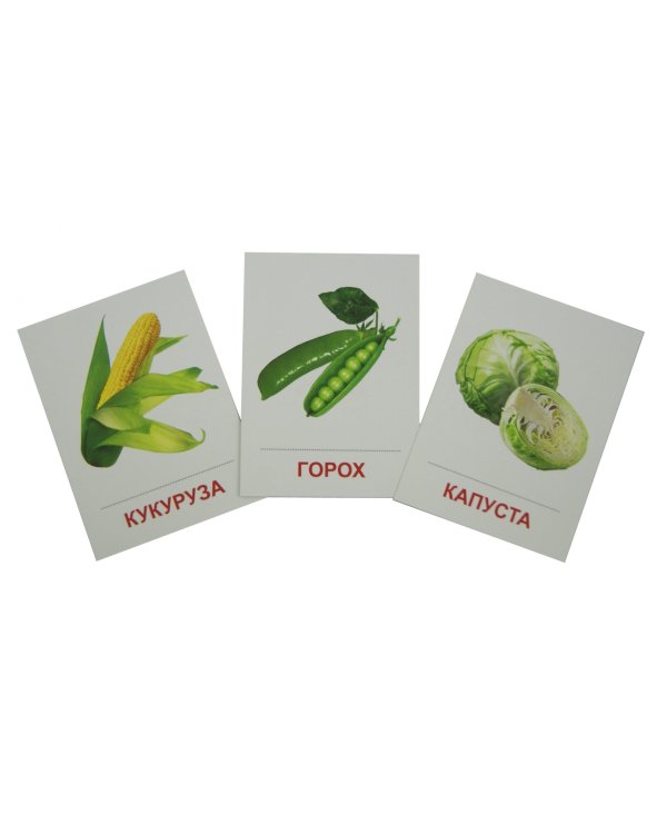 Раздаточные карточки "Овощи" (63х87 мм)