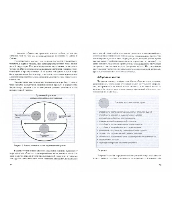 Симбиоз и автономность. Расстановка при травме