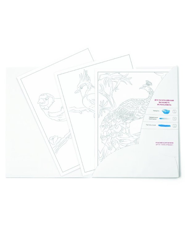 Раскраска-эскиз. Птицы, 10 листов