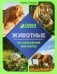 Животные. Энциклопедия