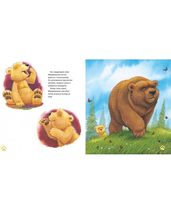 Папы-мишки никогда нет рядом