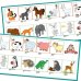 Набор для создания развивающих материалов. Английский язык. Лесные и домашние животные (А-145)