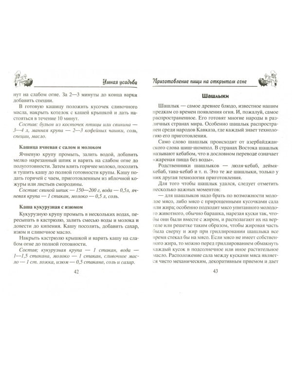 Казан, мангал, гриль, барбекю. Лучшие блюда на открытом огне