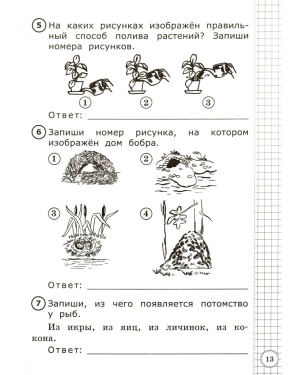 Окружающий мир. 1 класс. Всероссийская Проверочная Работа. Типовые тестовые задания. ФГОС