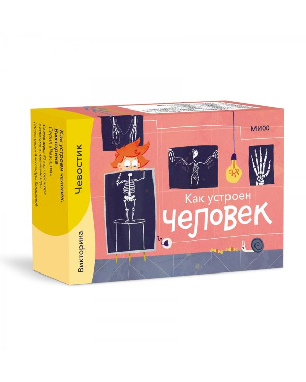 Викторина с Чевостиком. Как устроен человек