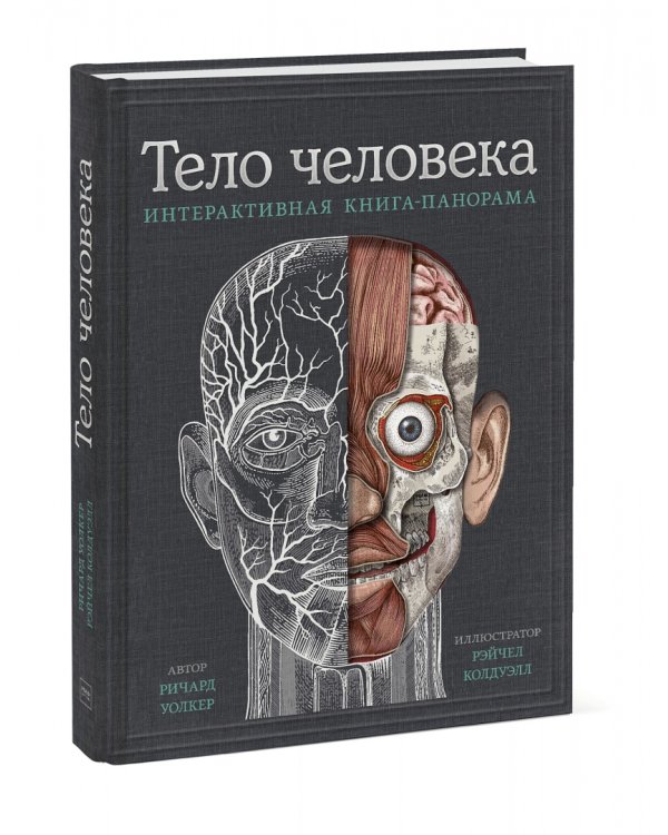 Тело человека. Интерактивная книга-панорама