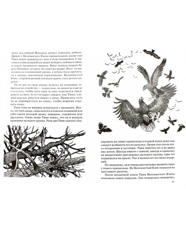 Лесные шорохи