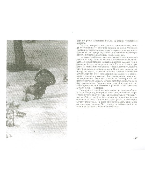 Охота на глухариных токах