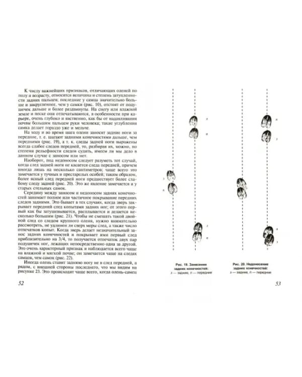 Как определить свежесть следа