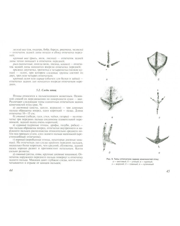Техника охоты