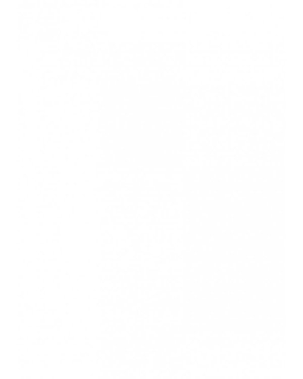 Мемуары графа де Рошфора