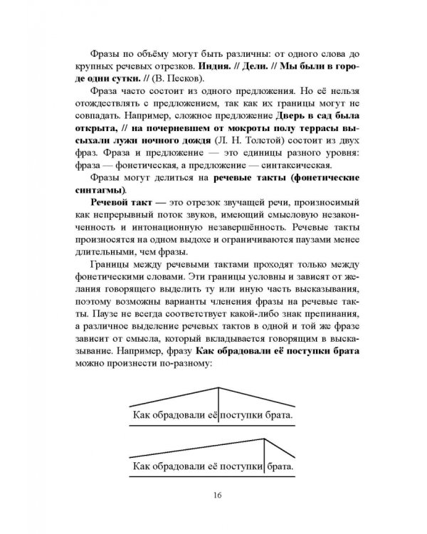 Русский язык. Фонетика. Фонология. Орфоэпия. Графика. Орфография. Учебное пособие