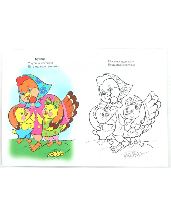 Бабушкин двор