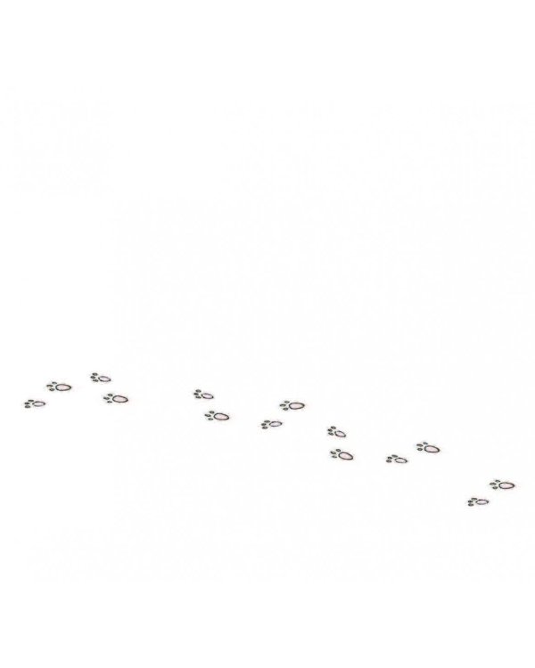 Русский язык. Грамотные коты