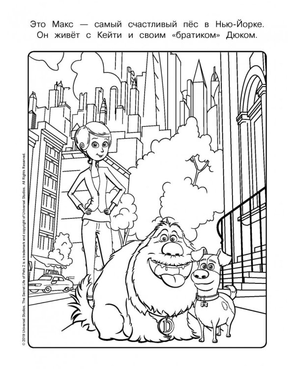 Тайная жизнь домашних животных 2. Раскраска (Макс и Гиджет)
