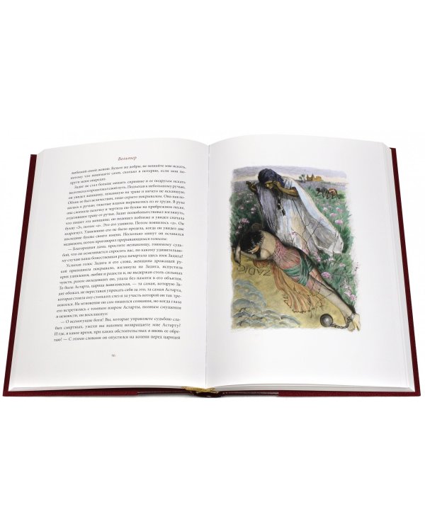 Задиг, или Судьба. Царевна вавилонская