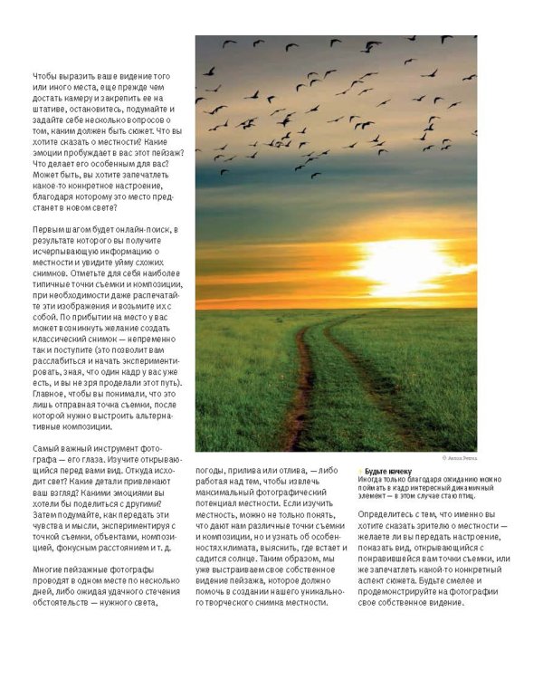 Школа фотографии Майкла Фримана. Пейзажная фотография