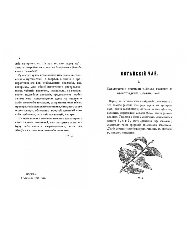 Китайский чай