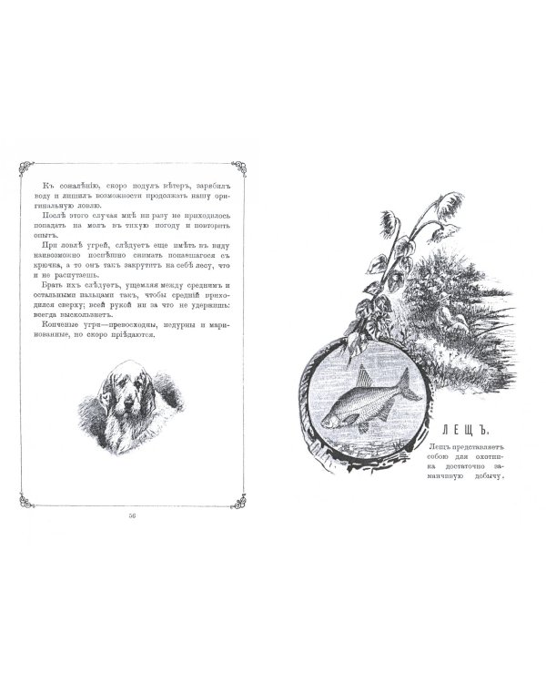 Уженье рыбы