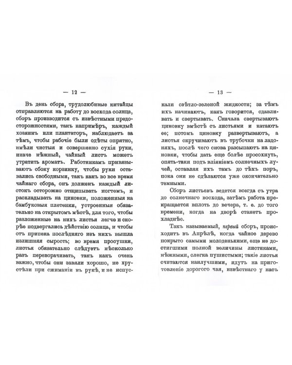 Чай и его польза