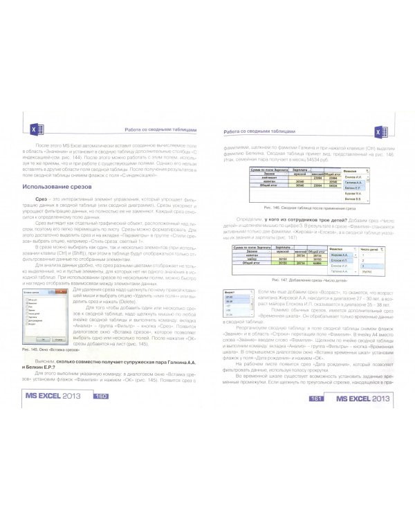 Работа полицейского в MS EXCEL 2013. Практическое пособие (+CD) (+ CD-ROM)