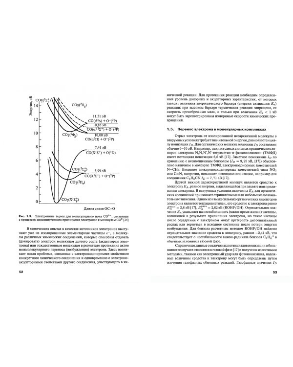 Возбужденные состояния в химии полимеров