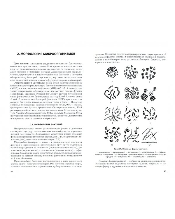 Микробиология. Практикум. Учебное пособие