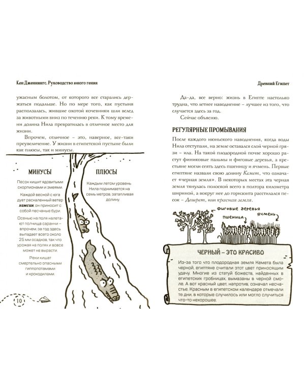 Древний Египет. Руководство юного гения