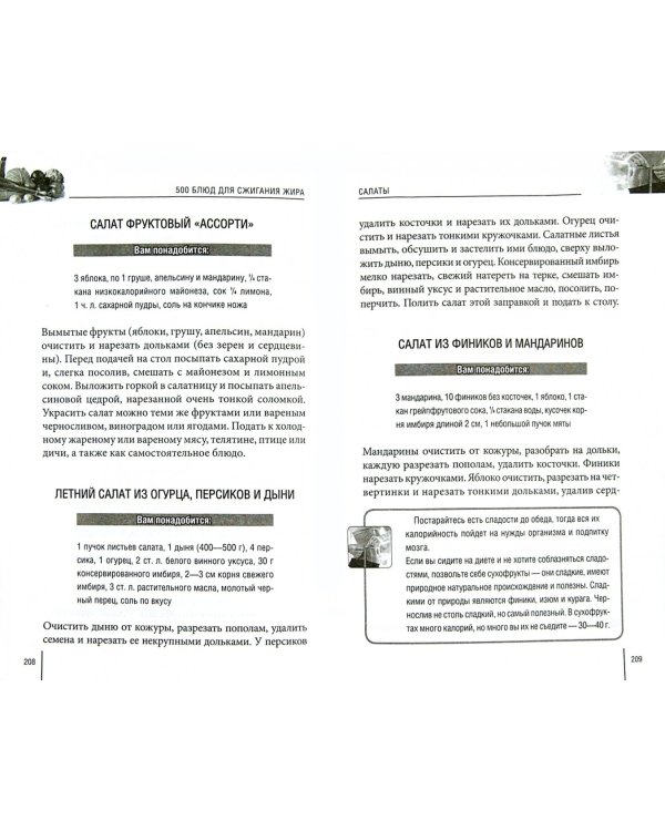 500 блюд для сжигания жира. Тонкая талия и стройные бедра на зависть всем!