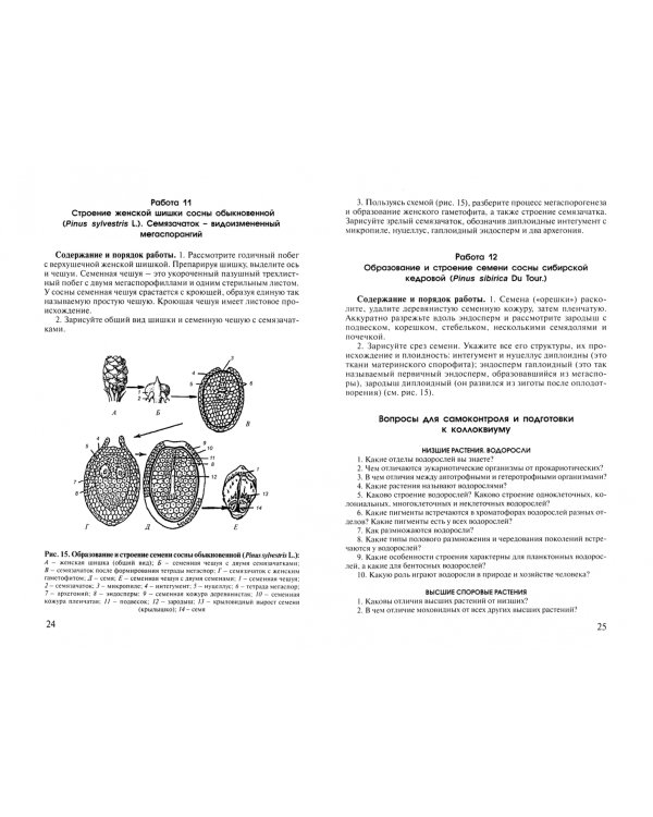 Практикум по систематике растений. Учебное пособие