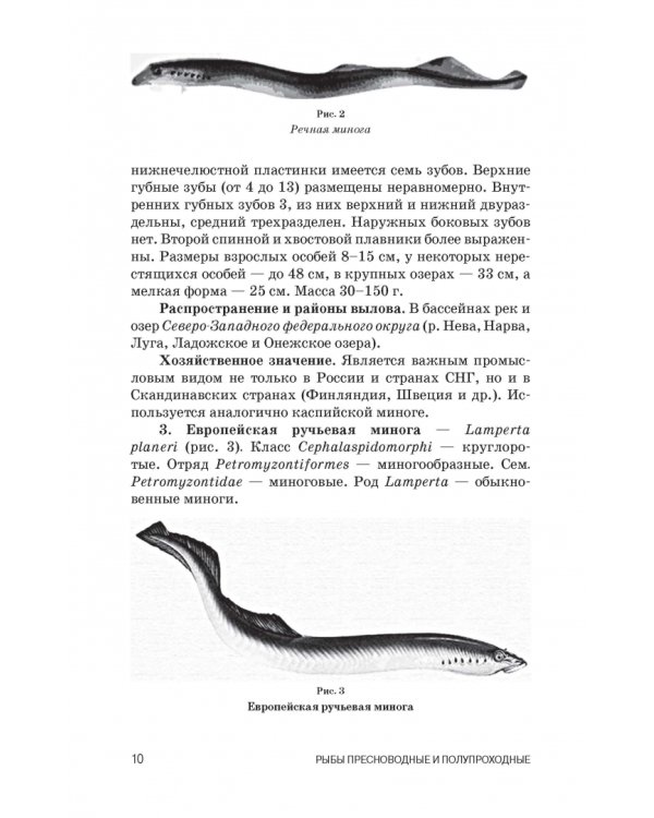 Атлас аннотированный. Рыбы пресноводные и полупроходные