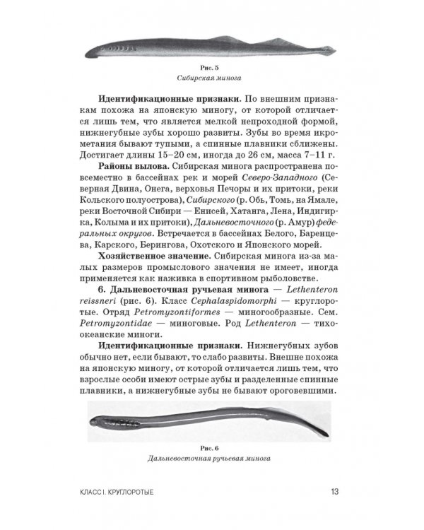 Атлас аннотированный. Рыбы пресноводные и полупроходные