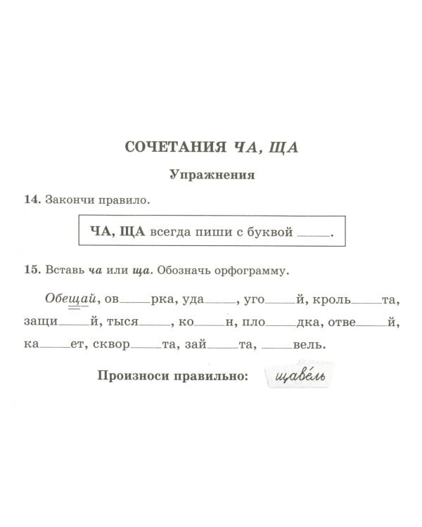 Русский язык. 1 класс. ФГОС