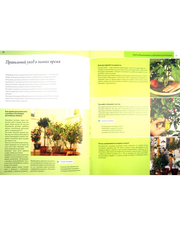 Растения для балконов и террас. Шаг за шагом к зеленому раю