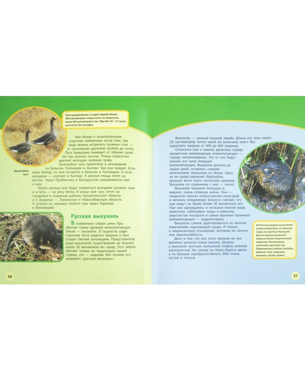 Места заповедные. Книга 1