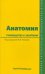 Анатомия. Руководство к занятиям. Учебное пособие
