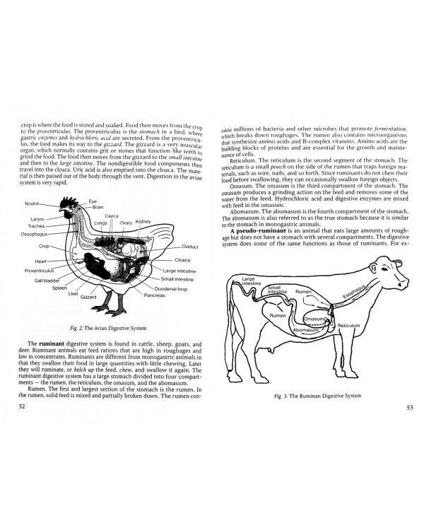 Veterinary Science: The First Steps. Учебное-методическое пособие по английскому языку