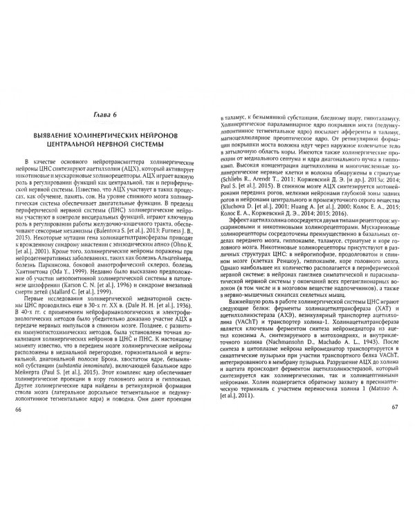 Иммуногистохимическое исследование головного мозга