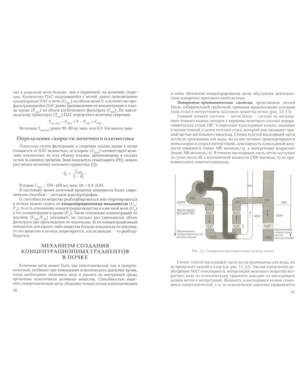 Основы физиологии почки. Учебное пособие