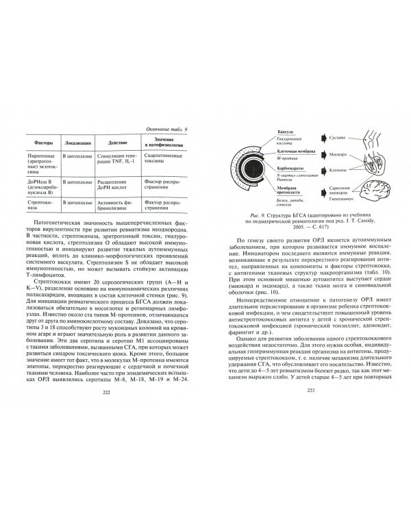 Эволюция стрептококковой инфекции. Руководство для врачей