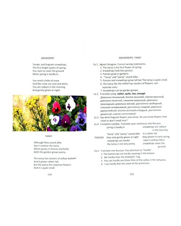 Английский язык для школы и досуга