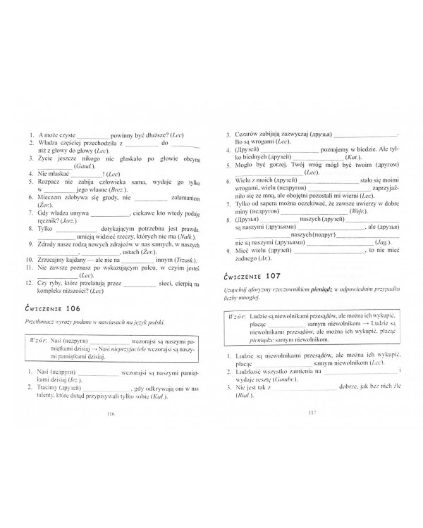 Грамматика польского языка в афоризмах. Учебное пособие