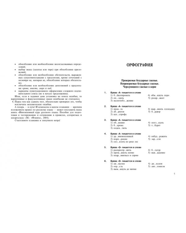 Интенсивный курс русского языка. 1000 тестов для подготовки к Всероссийскому тестированию и ЕГЭ