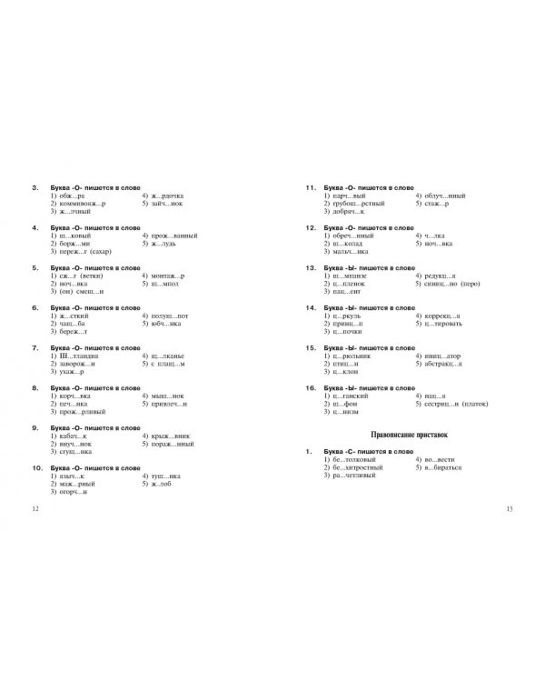 Интенсивный курс русского языка. 1000 тестов для подготовки к Всероссийскому тестированию и ЕГЭ