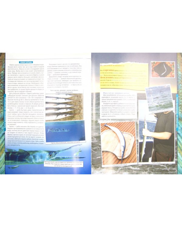 50 рыб, которых необходимо поймать, если ты настоящий рыбак