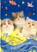 Мой личный дневничок Котята на синей обложке