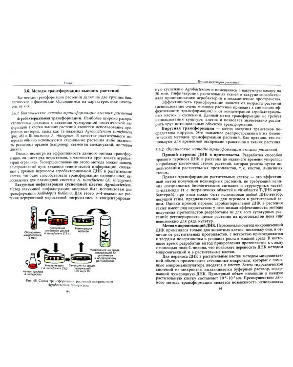 Генная и клеточная инженерия в биотехнологии высших растений. Учебник
